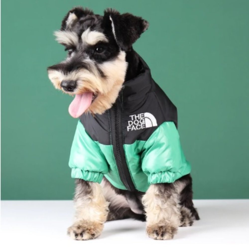 The Versa Vault | The Dog Face Winter Jacket Clothes